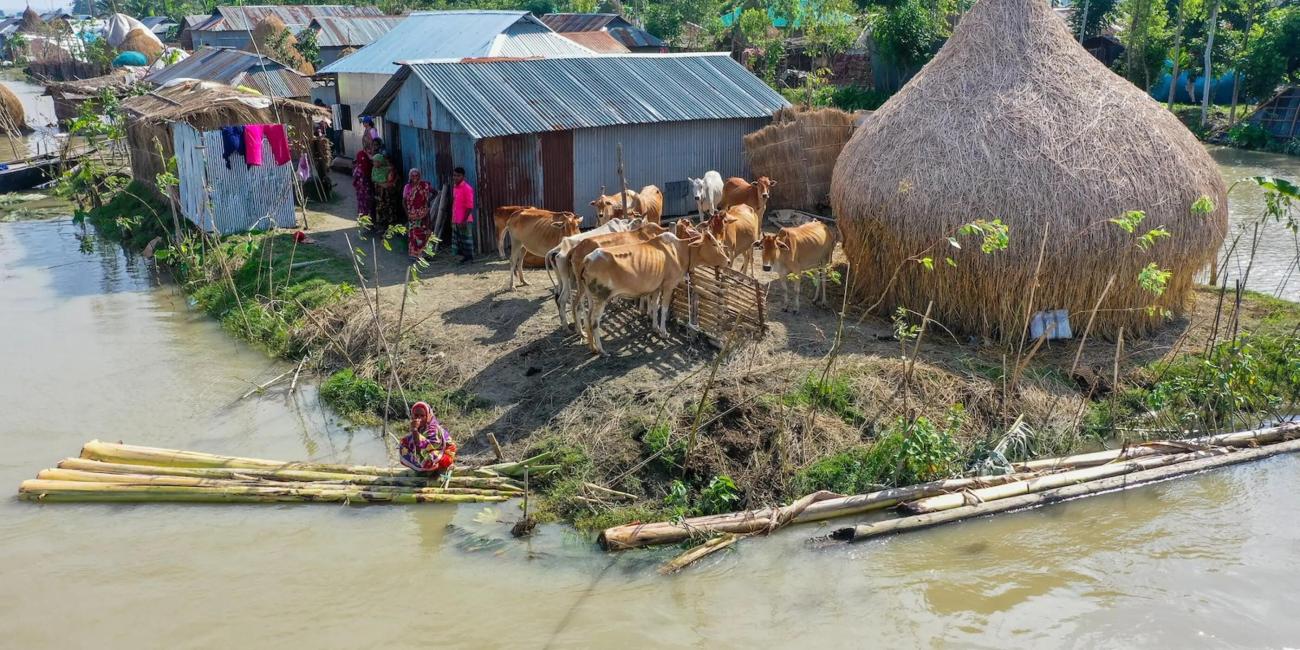 A village surrounded by flood in northwestern Bangladesh.