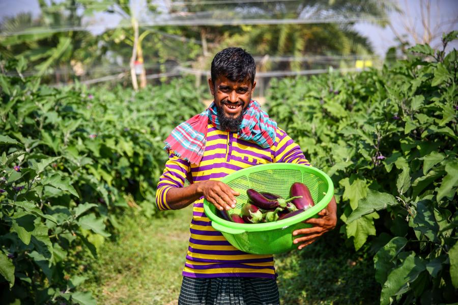 Crop diversification for Bangladeshi farmers boosts climate resilience and profits | United Nations in Bangladesh