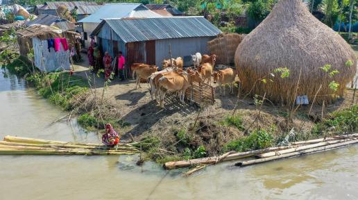 A village surrounded by flood in northwestern Bangladesh.